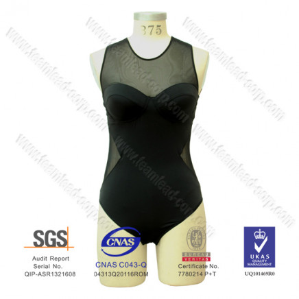 Sexy Net Lycra One-Piece