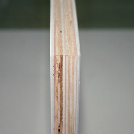Shock Resistance FRP Plywood Panel for Dry Freight Truck Body