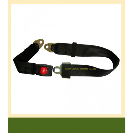 Simple Two-Point Seat Belt (CY203A)