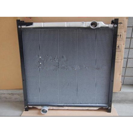Sino HOWO Faw Truck Accessory Aluminum Radiator Spare Parts (WG9719530120)