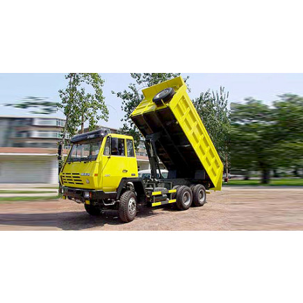 Sinotruk Steyr Tipper Truck 4*2, 6*4, 8*4 Ect