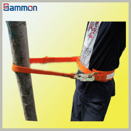 Sm9029 Electrical Poles Assignment Belt