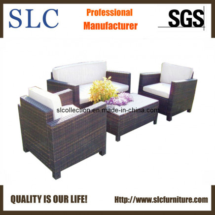 Sofa Furniture/Classical Sofa/Sofa (SC-B9621)
