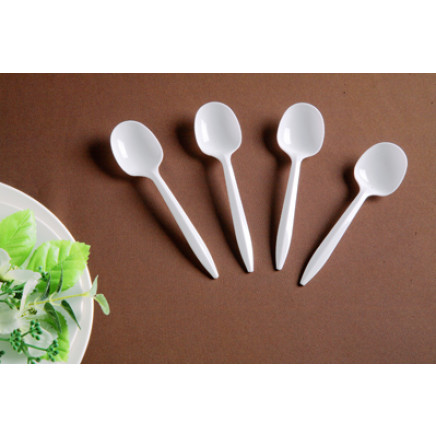 Spoon Plastic Spoon Soup Spoon Tea Spoon