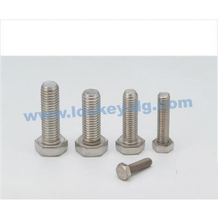 Stainless Steel 304/316 Hex Bolt