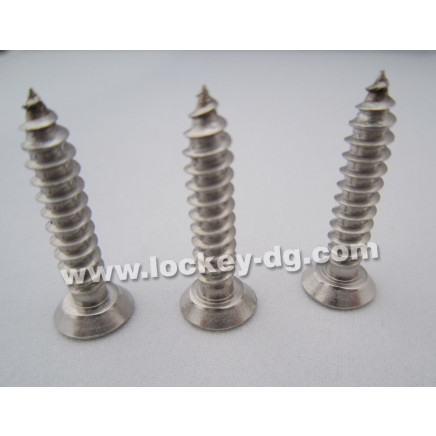Stainless Steel 304 Flat Head Undercut Self Tapping Screw