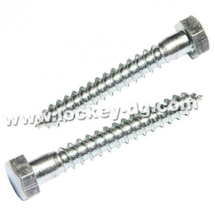 Stainless Steel Coach Screw Lag Screw Hex Wood Screw
