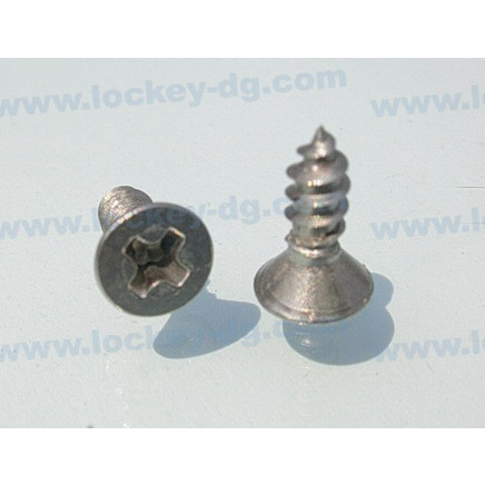 Stainless Steel Flat Head Tapping Screw