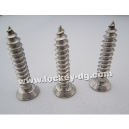 Stainless Steel Flat Head Undercut Self Tapping Screw