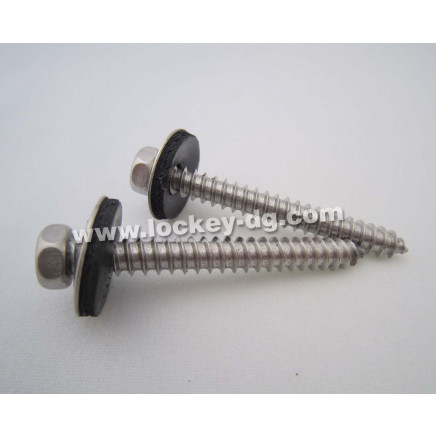 Stainless Steel Hex Self Tapping Screw with Boned EPDM Washer