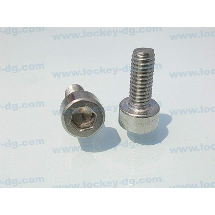 Stainless Steel Hex Socket Head Screw