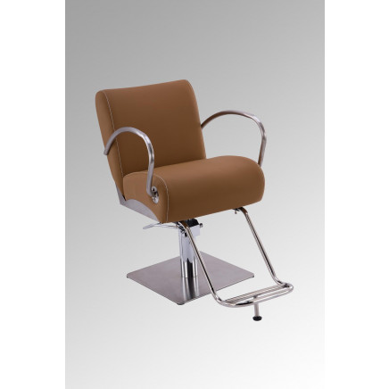 Stainless Steel Salon Chair of Salon Furniture (MY-007-96)