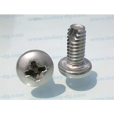 Stainless Steel Thread Cutting Screw