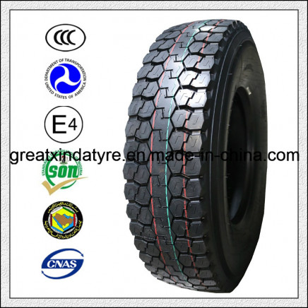TBR Tire with High Quality and Competitive Price 10r20 11r20 12r20 12r22.5