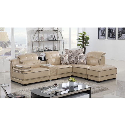 Thailand Living Room Leather Sofa Set (Yj6831)