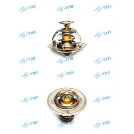Thermostat/JAC Parts/Auto Parts