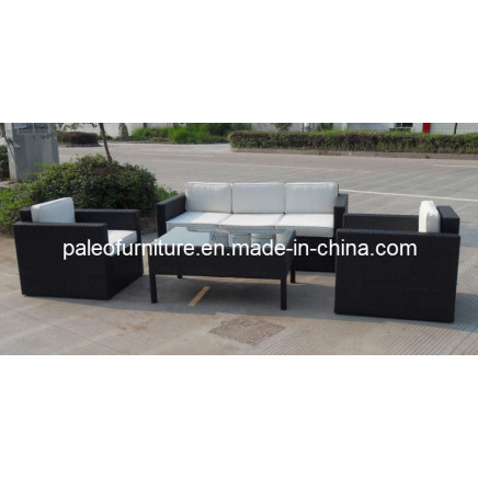 Three Seat Rattan Sofa Set (PAS-3074)