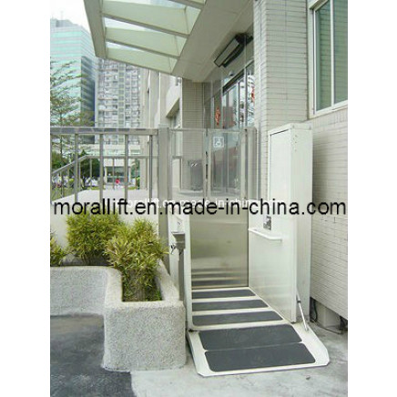 Top Quality Wheelchair Elevator Lift (SJG II)