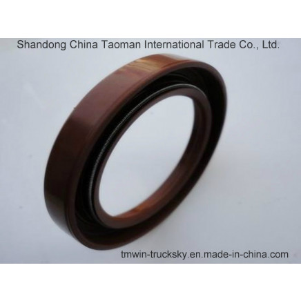 Truck Parts Fast Steyr HOWO 176 Sealing Gasket Model (F91410)