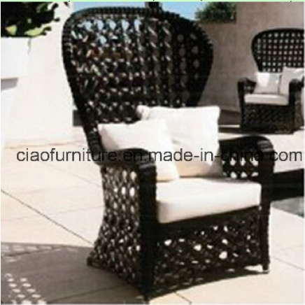 Unique Outdoor Furniture Rattan Peacock Chair (CF620C)
