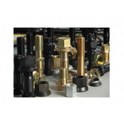 Various Wheel Bolt and Nut High Strength Wheel Bolt Nut