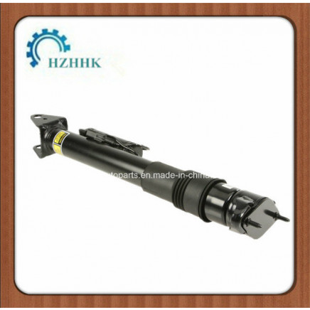 W251car Shock Absorber for Auto Asborber of Damper (2513201031)