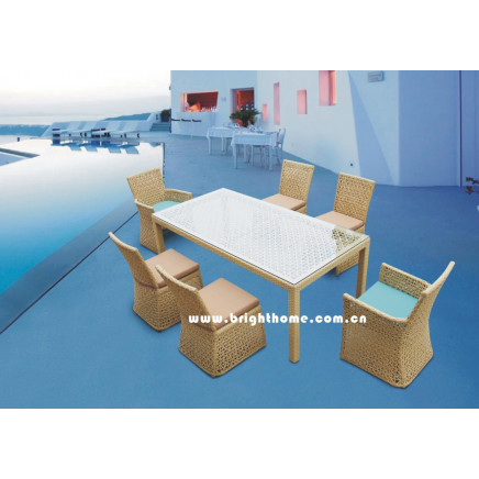 Wick Rattan Leisure Furniture/ Outdoor Garden Furniture (BP-3002A)