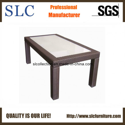 Wicker Table/Rattan Coffee Table/Fancy Coffee Table (SC-B1078-5)