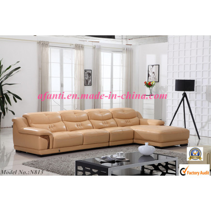 Wooden Leather Furniture Sofa Furniture (N813)