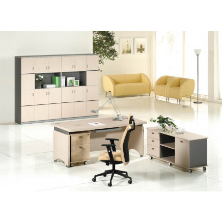 Wooden Office Table/Desk (Nancy-ve01)
