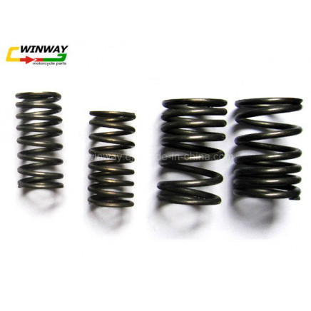 Ww-9507 Gy6-125 Motorcycle Compression Spring, Motorcycle Engine Valve Spring, Motorbike Part