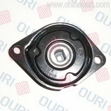 for Audi Car Spare Parts Idle Pulley (OEM 028903315R)