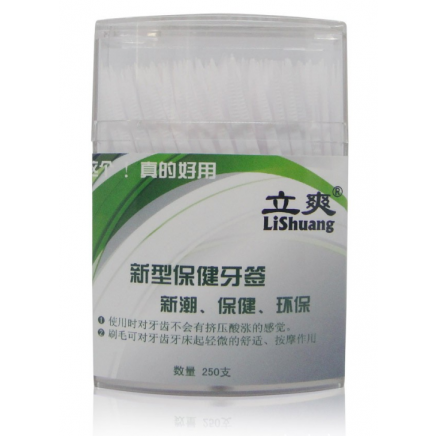 Floss pick Plastic Brushpick toothpick 250pcs box packing