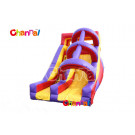 18' Water Slide/Kids Inflatable Water Slides Bb065