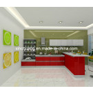 2013 New High Gloss Lacquer Kitchen Cabinet (DM9664)