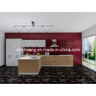 2013 New Kitchen Cabinet Design