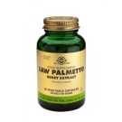 Saw Palmetto Berry Extract Vegetable Capsules