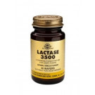 Lactase 3500 Wafers	