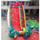 2014 Inflatable Shrek Slide Chsl300