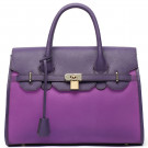 2015 Fashion Leather Bag Designer Handbags Lady Handbags (S576-B2715)