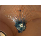 Art Crystal Pendant Lamp Decoration for Modern Design