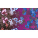 Available Print Design 66