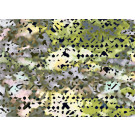 Available Print Design 83