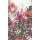 Available Print Design 85