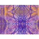 Available Print Design 87