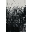 Available Print Design 95