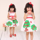 Baby Girl Clothing Printed Kid Dress (3007#)
