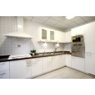 Baked Paint Kitchen Cabinet (M-L83)