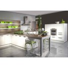 Baked Paint Kitchen Cabinet (M-L91)