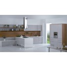 Baked Paint Kitchen Cabinet (M-L93)
